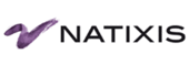 Description de l'image Natixis nouveau logo.gif.