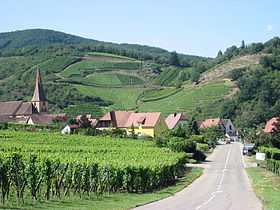 Image illustrative de l'article Vignoble d'Alsace