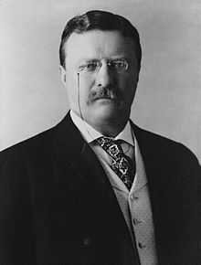 Theodore Roosevelt en 1904.