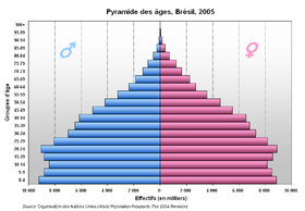 Pyramide des âges de Brésil en 2008