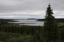 Une étendue dʼeau sʼétend au loin. Elle est entourée dʼune forêt dʼépinettes noires qui forment un relief moutonné.