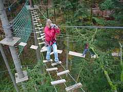 Une pratiquante d'escalade d'arbre sur un pont de singe