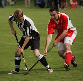 Image illustrative de l'article Shinty