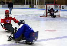 Image illustrative de l'article Hockey sur luge