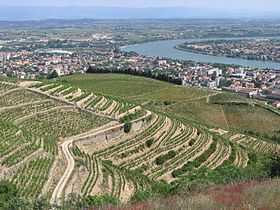 Vue de la vallée du Rhône du haut du vignoble de Tain-l'Hermitage.