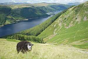 Image illustrative de l'article Parc national du Lake District