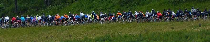 Tour-de-suisse peloton.jpg