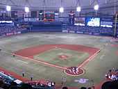 Description de l'image Tropicana Field Playing Field Opening Day 2010.JPG.