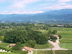 Les vignobles de Savoie dans la combe de Savoie au pied du massif de Belledonne