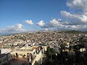 Vue sur la médina de Fès