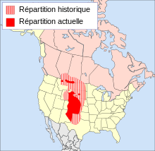 Carte d'Amérique du Nord avec l'aire de répartition du Renard véloce, principalement située au centre des États-Unis