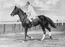 Photographie d'un homme portant des vêtements blancs sur un cheval noir