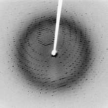 Cliché de diffraction de la protéase virale 3CLpro cristallisée